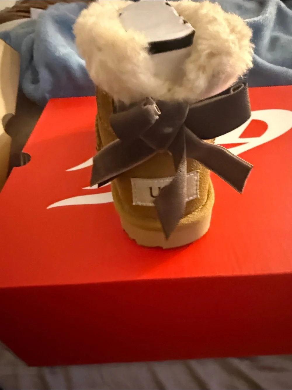 Ugg boot